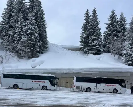 Click Here To Enlarge This Photo Of Hammonds Heads To The Snow